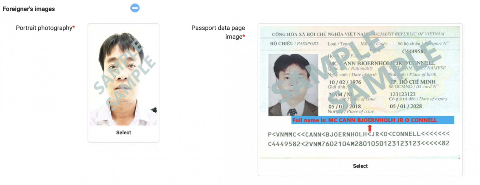 How To Make E Visa Application For Vietnam Detailed Guide 👉 4542