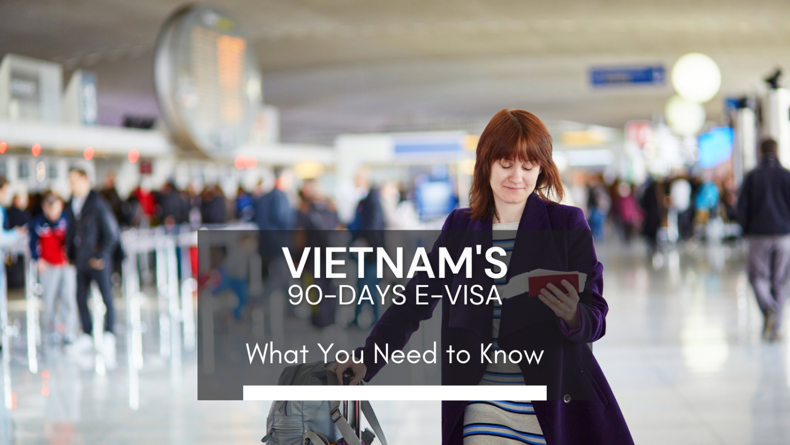 Vietnam Officially Grants 90 Day E Visas To Citizens Of All Countries And Territories 👉 6800